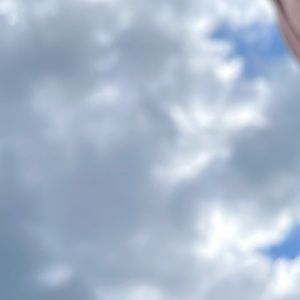 Meet your Posher, Nema